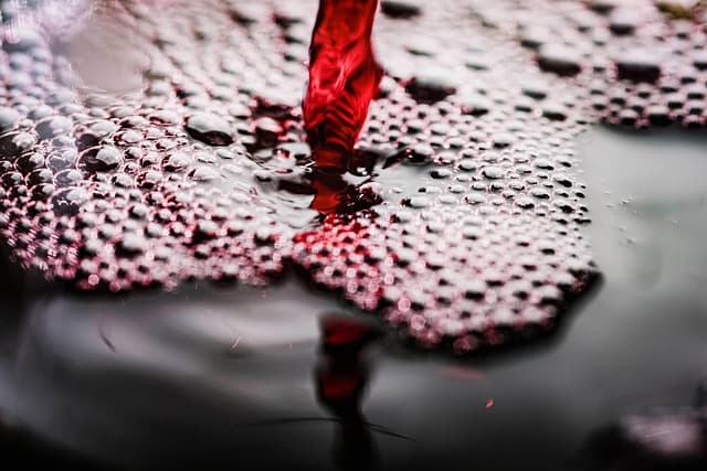 Les meilleures cartouches d'encre pour impressions professionnelles