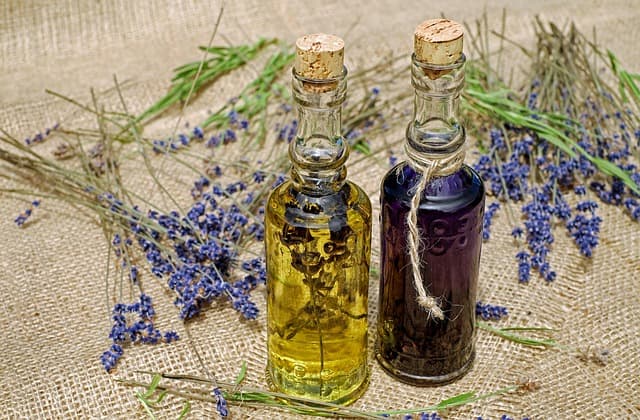 Elevate Your Health with the Best Wellness Products