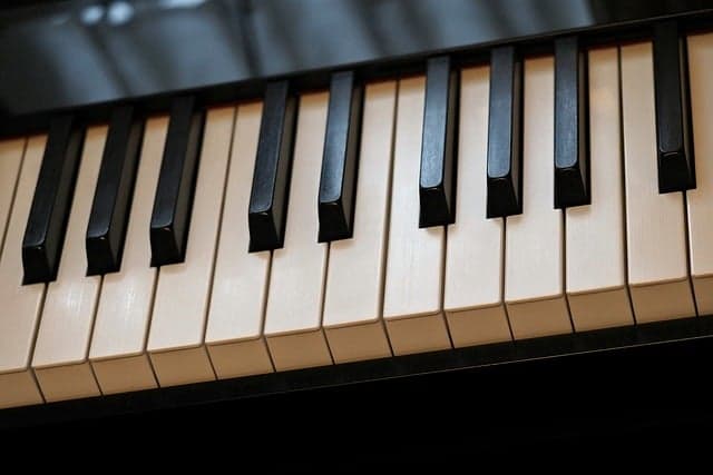 Guide d'achat : Instruments de musique anciens