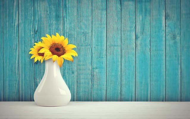 Guide d'achat sur les vases céramiques anciennes