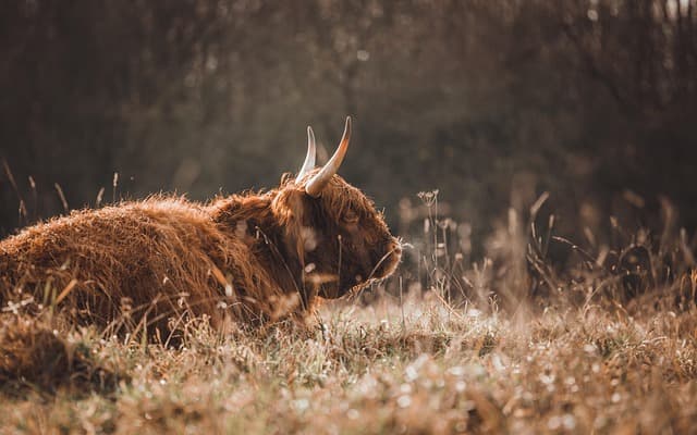 Jak podróżować z dziećmi: przewodnik zakupowy