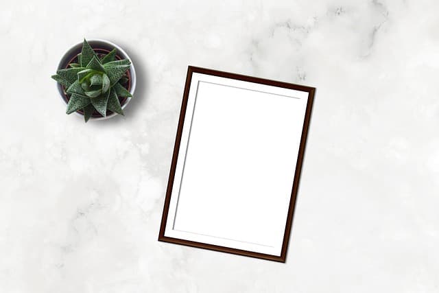 Acheter des templates de portfolio abordables
