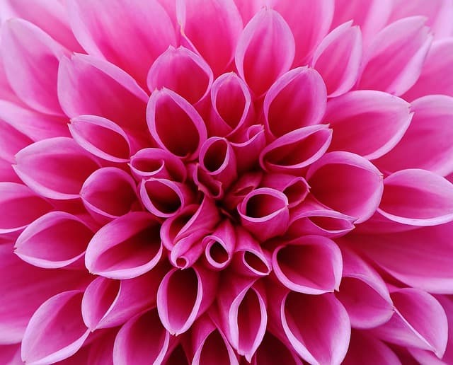 Guide d'achat : le meilleur éclairage solaire pour jardin