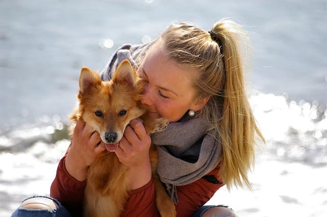 Essential Tips for Captivating Pet Photography