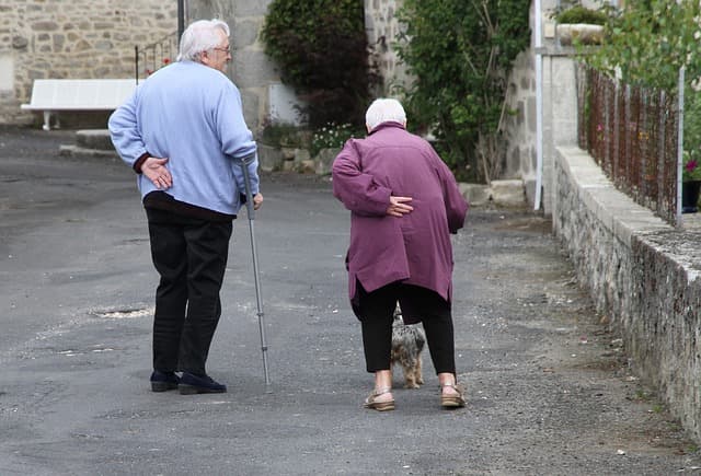 Caring for Senior Pets: A Comprehensive Guide