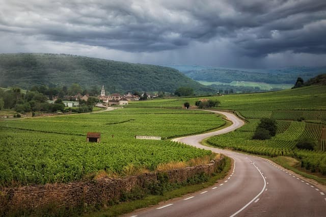Guide d'achat : Contacts alimentation France