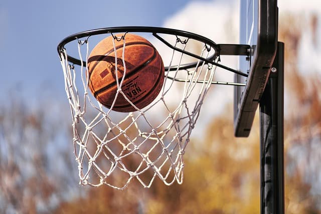 Guide d'Achat : Meilleurs Ballons de Basketball