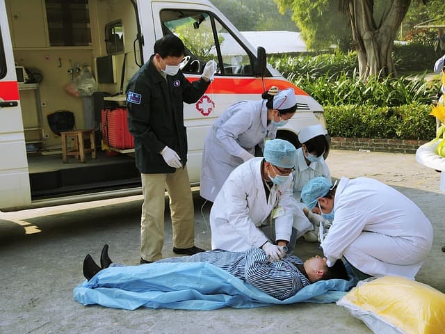 Essential Pet First Aid Supplies for Emergencies